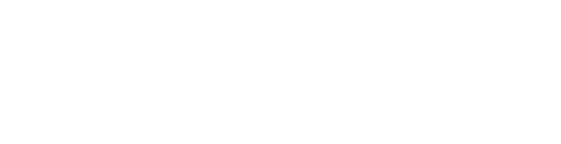 Elite Ambulance